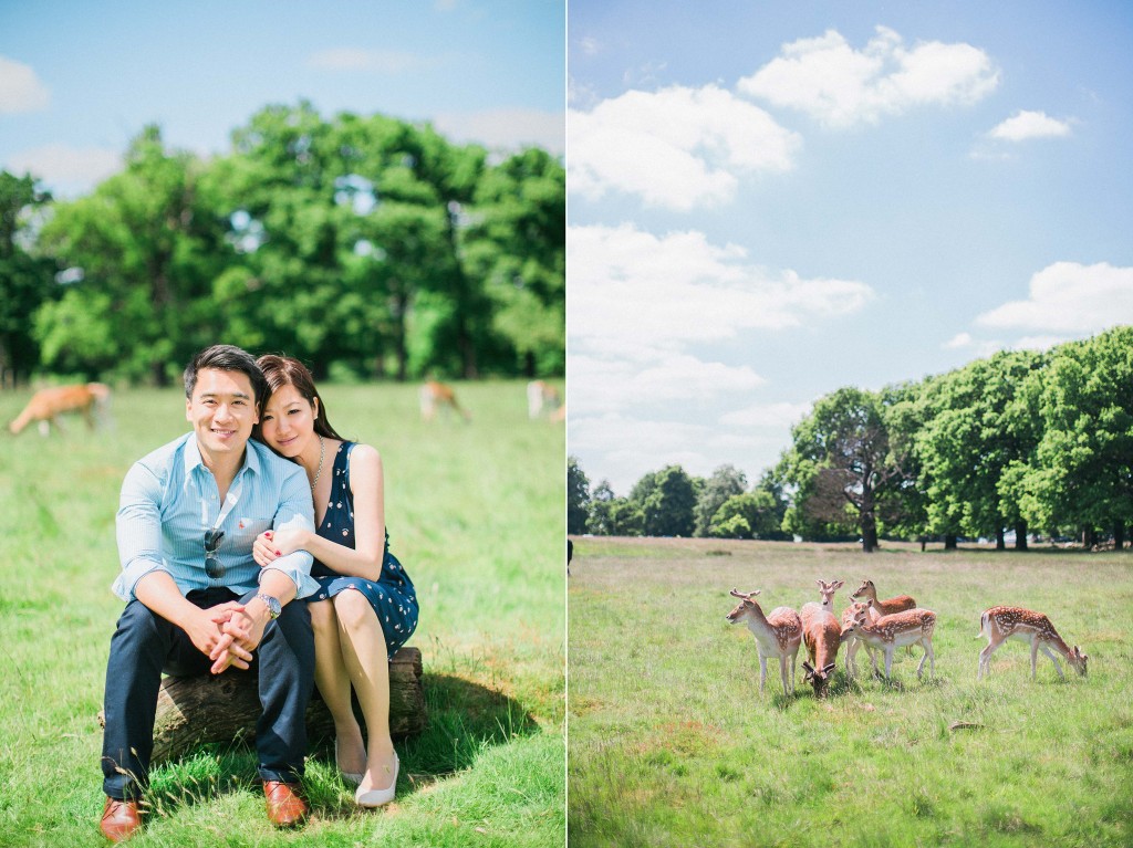 nicholas-lau-nicholau-beautiful-film-photography-love-london-engagement-couple-romance-sunlight-summer-chinese-asian-deer-petersham-nurseries-richmond-park-sitting-on-a-log-deer-in-background