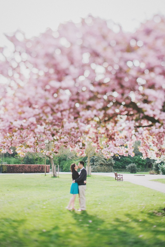 nicholas-lau-nicholau-engagement-spring-photography-peony-and-mockingbird-chinese-couple-battersea-park-westminster-something-blue-cherry-blossum-kissing-under-the-tree