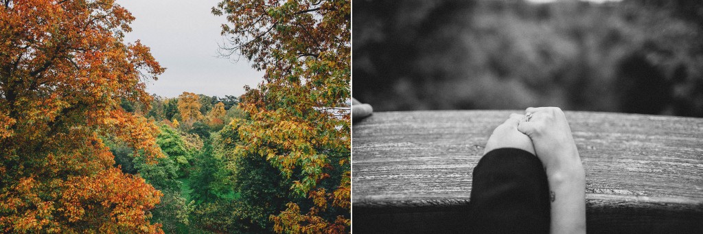 nicholau-nicholas-lau-couple-pre-wedding-film-fine-art-photography-red-blazer-leaves-fall-autumn-kew-gardens-uk-london-holding-hands-canopy-trees-colours