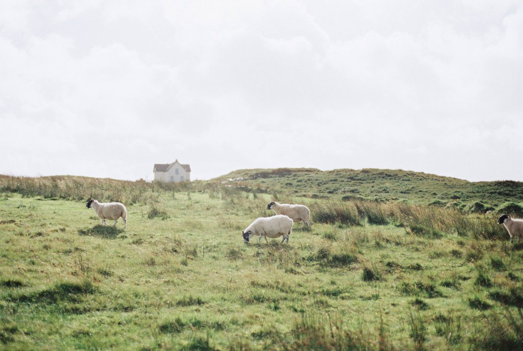 nicholas-lau-photo-photography-scotland-isle-of-skye-wanderlust-film-carmencita-lab-fine-art-sheep-house-meadow