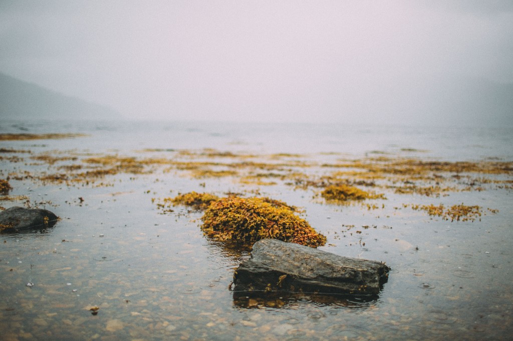 nicholas-lau-photo-photography-water-stones-wanderlust-loch-scotland-travel-rain-storm-algae-beautiful-look-through