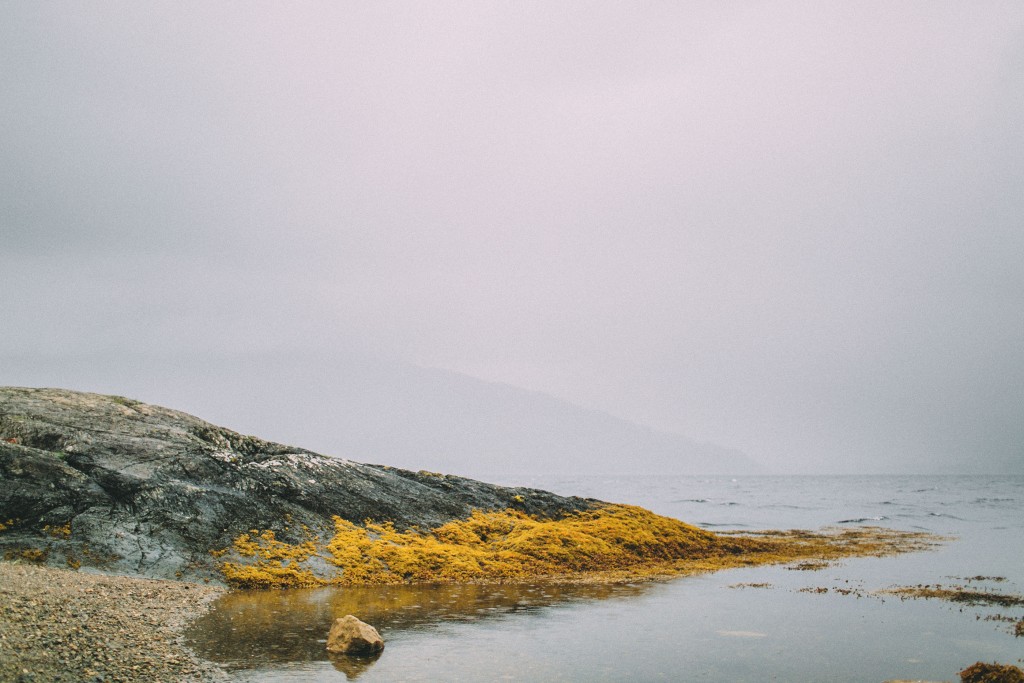 nicholas-lau-photo-photography-water-stones-wanderlust-loch-scotland-travel-rain-storm-algae-beautiful-shore-clear-mist-storm-haze-mountains